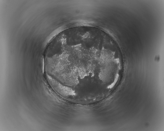 X0000113981219200910231701