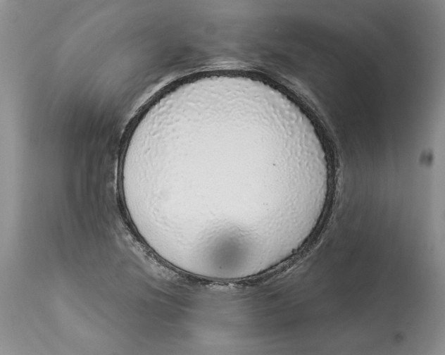 X0000113981220200910231701