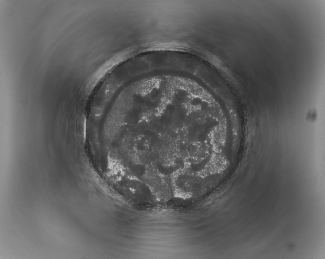 X0000113981221200910231701