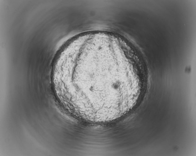 X0000113981222200910231701