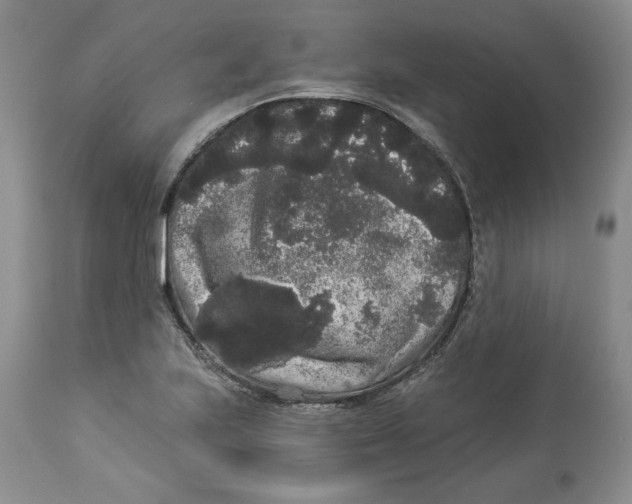 X0000113981223200910231701