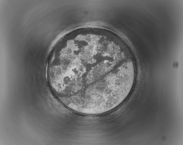 X0000113981224200910231701