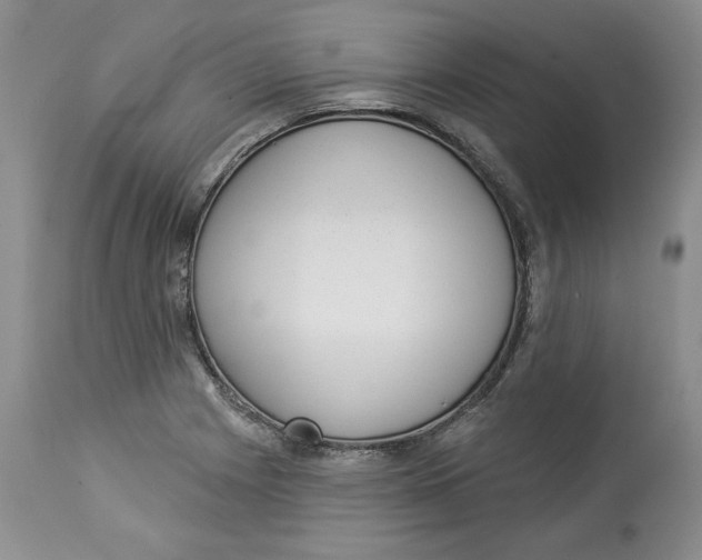 X0000113981225200910231701