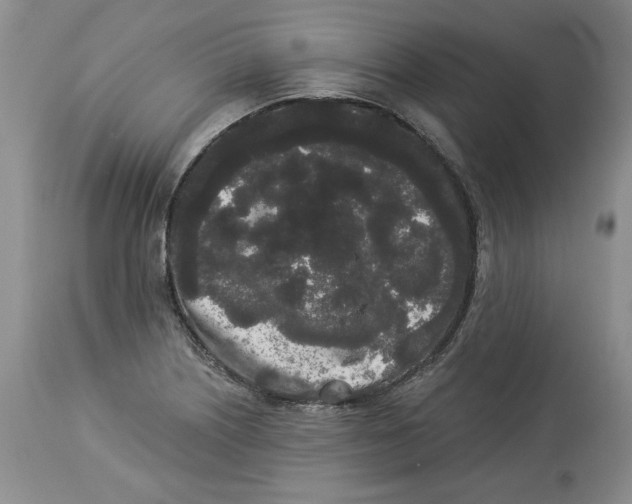 X0000113981226200910231701