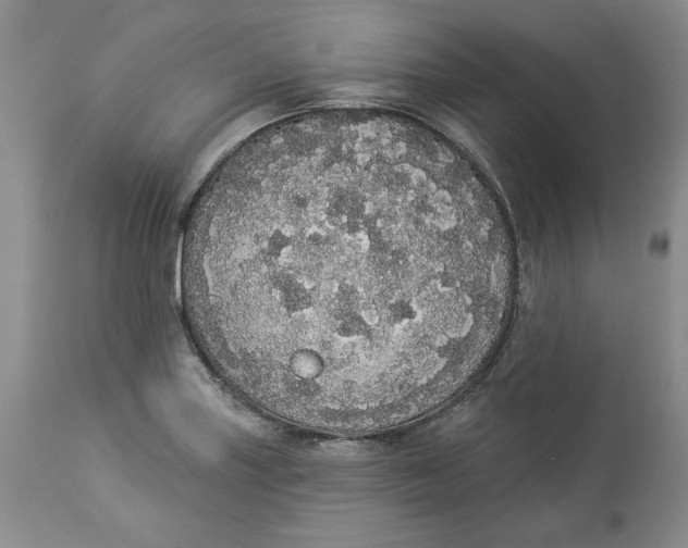 X0000113981227200910231701