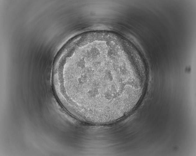 X0000113981228200910231701