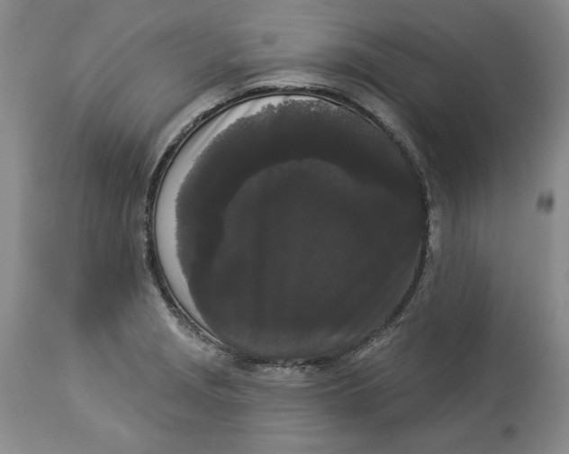 X0000113981229200910231701