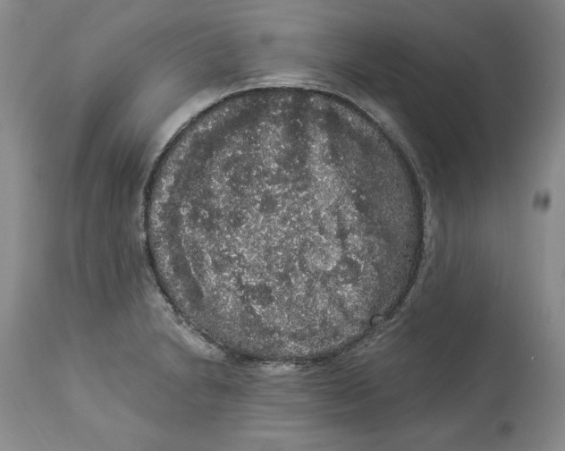 X0000113981230200910231701