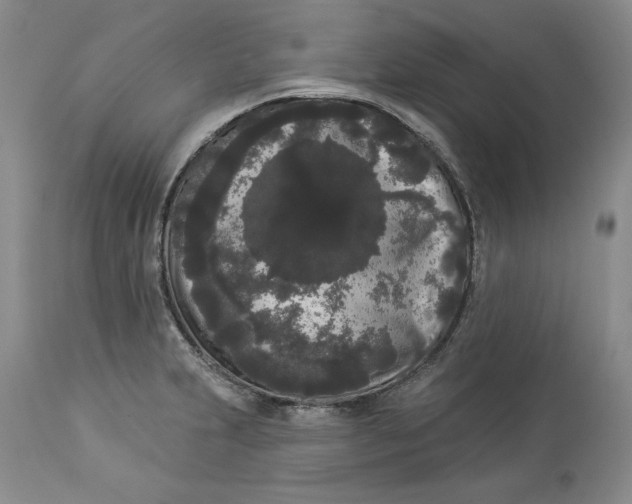 X0000113981231200910231701