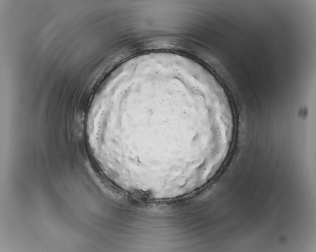 X0000113981233200910231701