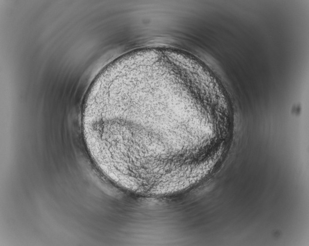 X0000113981234200910231701