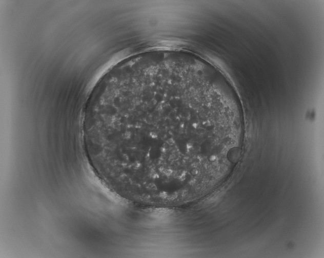 X0000113981235200910231701