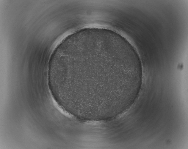 X0000113981237200910231701