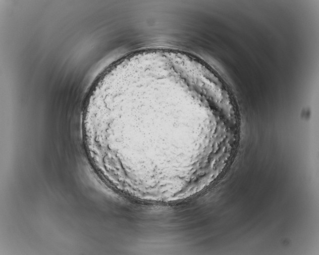 X0000113981238200910231701