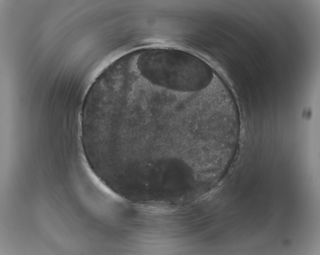 X0000113981239200910231701