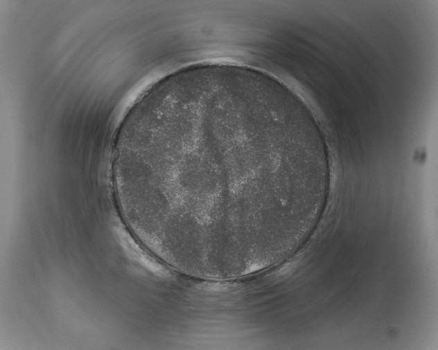 X0000113981240200910231701