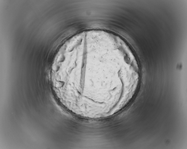 X0000113981241200910231701