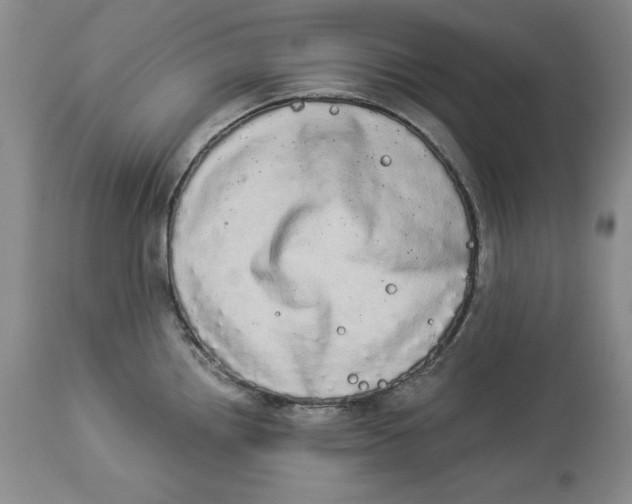 X0000113981242200910231701