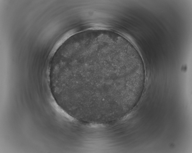 X0000113981243200910231701