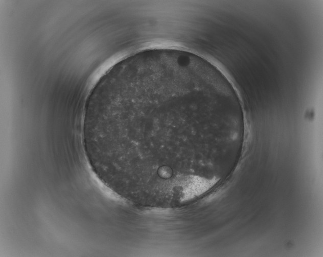 X0000113981245200910231701