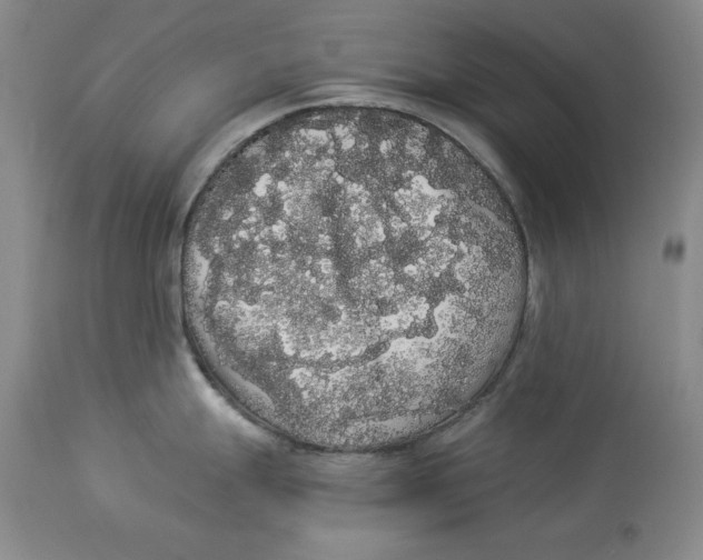 X0000113981247200910231701