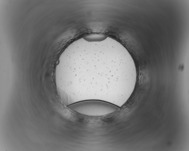 X0000113981249200910231700