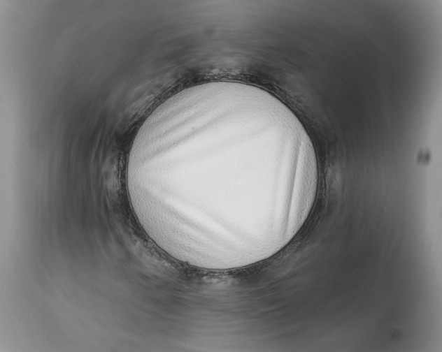 X0000113981250200910231700