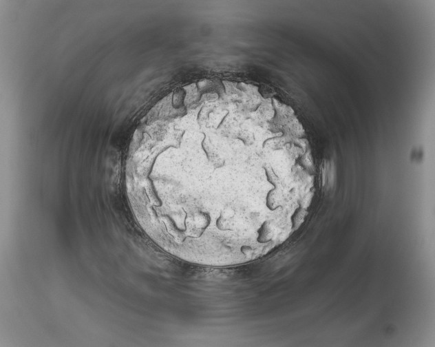 X0000113981251200910231700