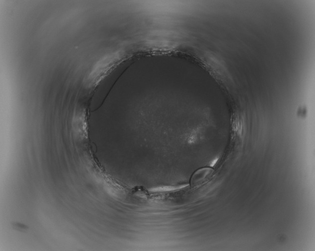 X0000113981252200910231700