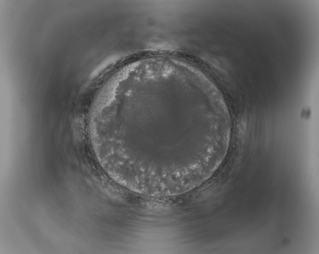 X0000113981254200910231700