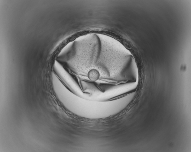 X0000113981256200910231700