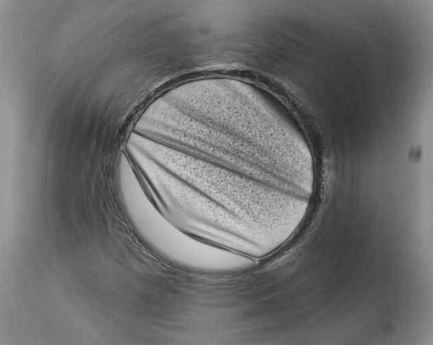 X0000113981257200910231700