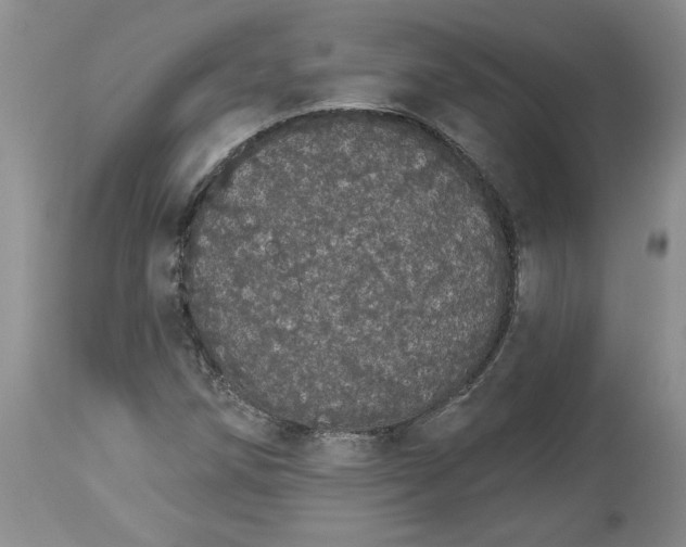 X0000113981258200910231700