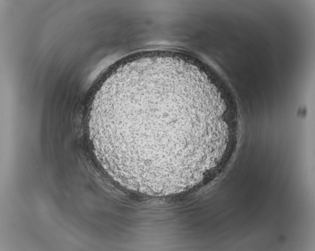 X0000113981259200910231700