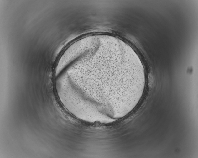 X0000113981260200910231700