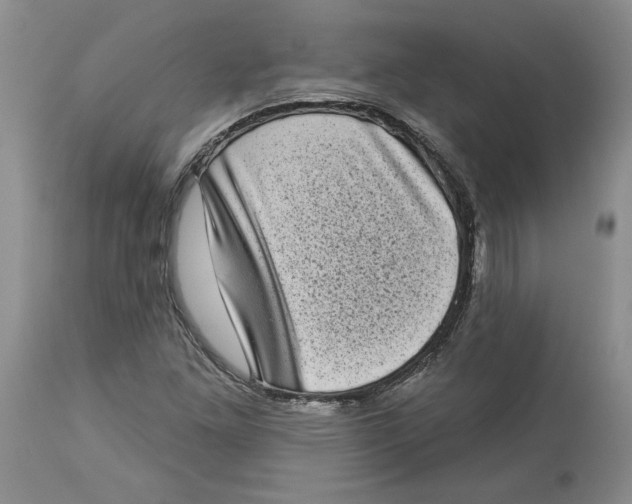 X0000113981261200910231700