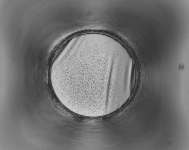 X0000113981262200910231700