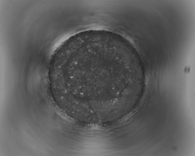 X0000113981263200910231700