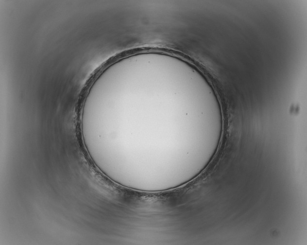 X0000113981264200910231700