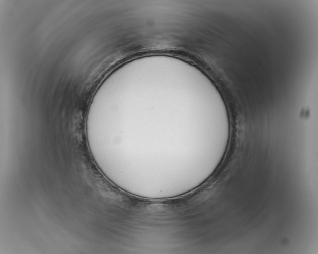 X0000113981265200910231700