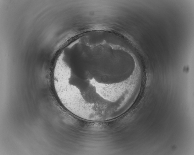 X0000113981266200910231700