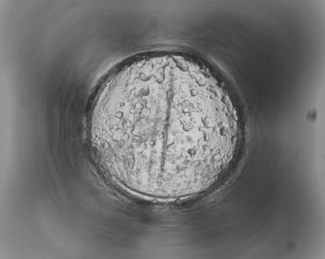 X0000113981267200910231700