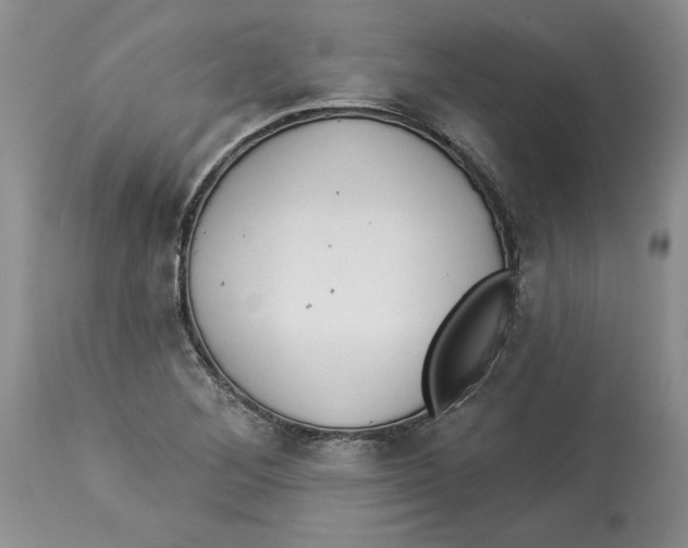 X0000113981268200910231700