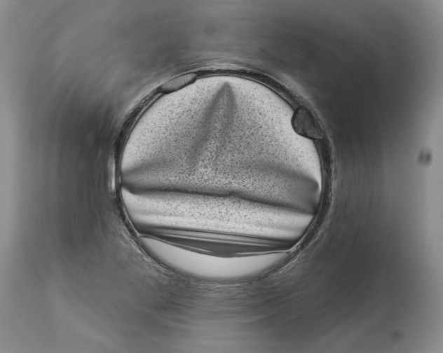 X0000113981269200910231700