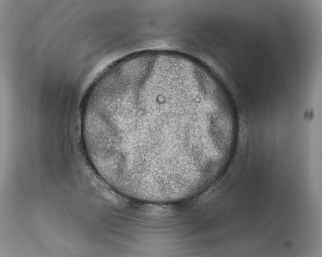 X0000113981270200910231700