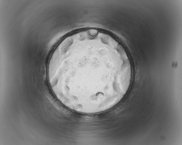 X0000113981271200910231700