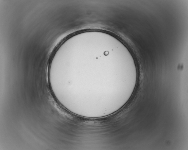 X0000113981272200910231700