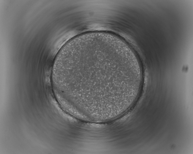 X0000113981273200910231700