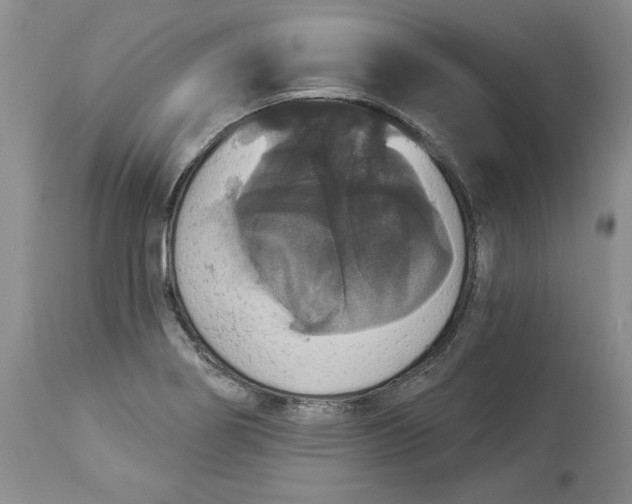 X0000113981274200910231700