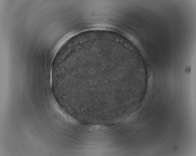 X0000113981275200910231700